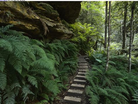 Before you head out to do one of these walks, it's important to check for the latest updates on closed areas within the blue mountains on the national parks website. Wanderlust: Blue Mountains National Park.