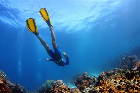 Best Snorkeling And Scuba Diving In Negril Where And How