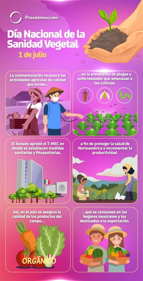 01 02 0723 Infografìa Sanidad Vegetal Noticias de Querétaro