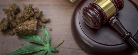 Marihuana Regulation And Taxation Act Mrta Office Of Cannabis
