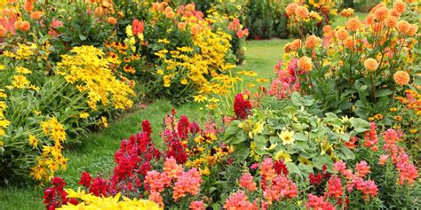 Fall Plants For The Southwest Cottage Garden