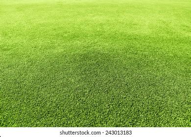 Golf Green Grass Texture Closeup Stock Photo Shutterstock