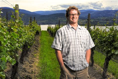 John Schreiner On Wine Lake Breeze Scoops Peers With 2015 Wines