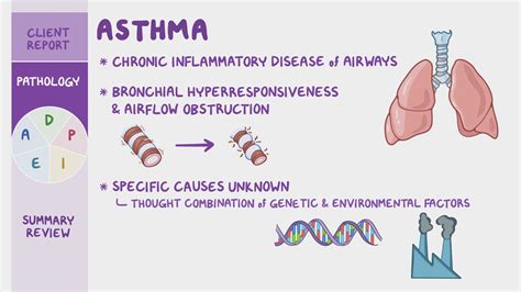 Asthma Nursing Process ADPIE Osmosis Video Library