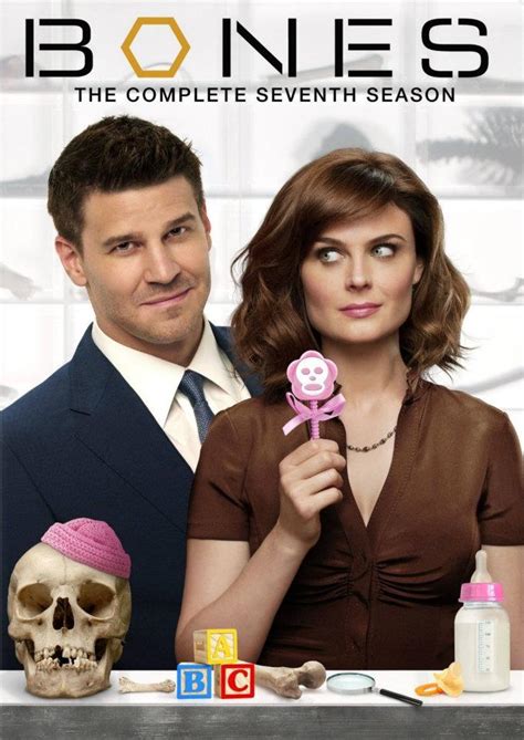 Bones Season 7 DVD - Bones Photo (31507809) - Fanpop