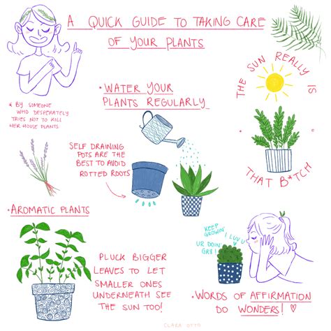 How To Take Care Of House Plants By Me Coolguides