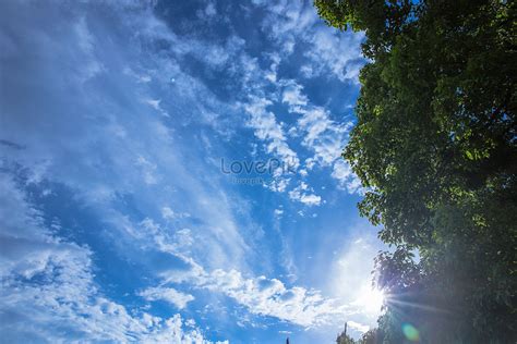 We did not find results for: Pohon Alami Segar Pemandangan Langit Biru Dan Awan Putih gambar unduh gratis_ Foto 500405108 ...