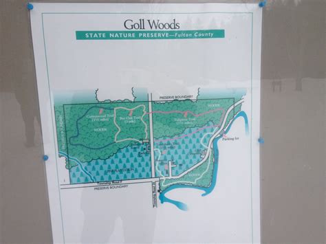 Goll Woods State Nature Preserve — Old Growth Forest Network