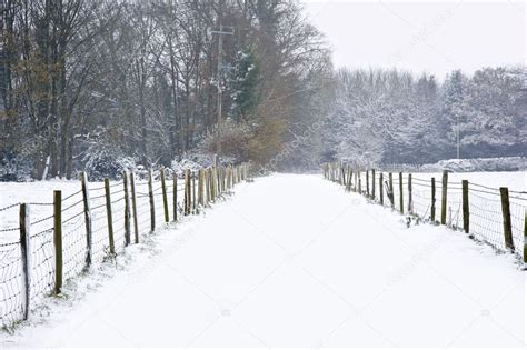 Beautiful Winter Country Scenes Beautiful Winter Forest