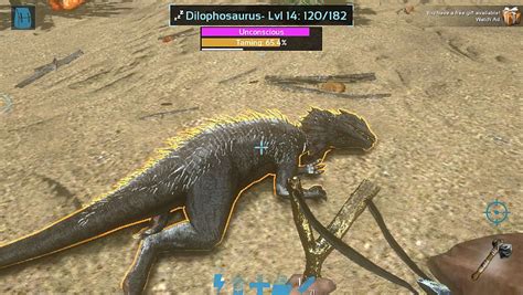 Dilophosaurus Ark