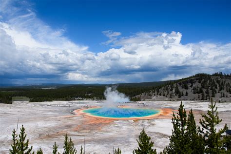 Guided Yellowstone Tours Experience Island Park