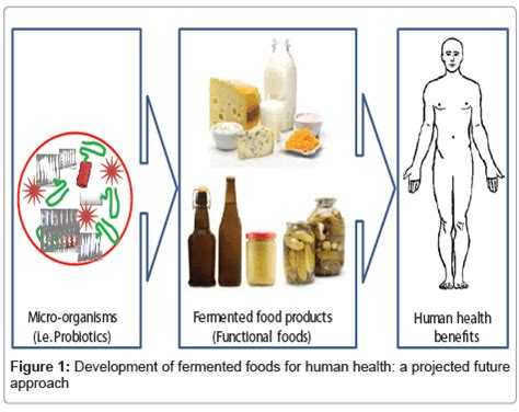 Many traditional food products including fruits, vegetables, soya, whole grains and milk have been found to contain components with potential health benefits. fermentation-technology-human-health