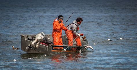 Two Men Fishing Boat Daytime People Person Human Leisure