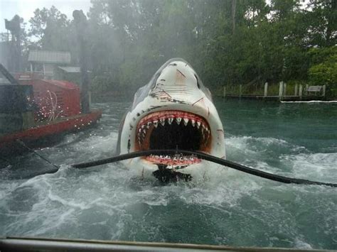 This Is The Jaws Ride At Universal Studios Orlando Florida I Used To Be