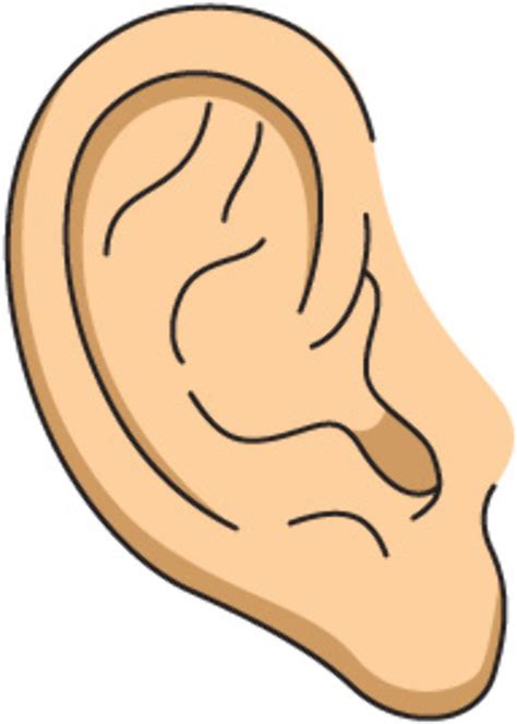 Download High Quality Ear Clipart Left Transparent Png Images Art