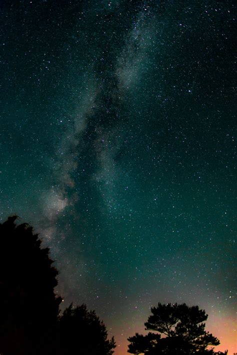 Gambar Pohon Langit Bintang Bima Sakti Suasana Ruang Kegelapan