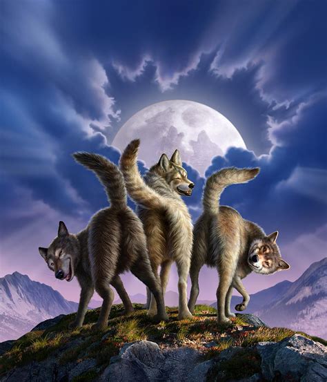 3 Wolves Mooning Digital Art By Jerry Lofaro Fine Art America