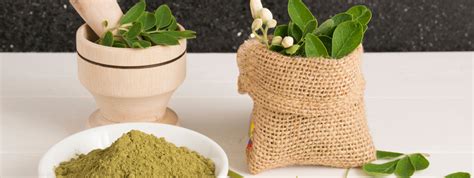 Kulikulifoods Scientifically Moringa Benefits Everyone Kuli Kuli Foods