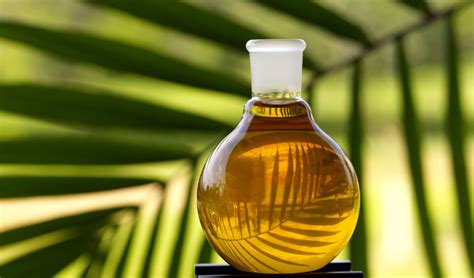 Production of palm oil is vital for the economy of malaysia, which is the world's second largest producer of the commodity after indonesia. Palm Oil has Created Massive Potential for Biomass Energy ...