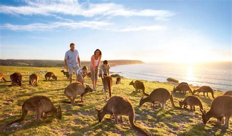 Book Best Of Land Down Under Tour Packages Adelaide Sightseeing