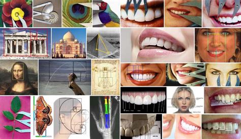 Learn The Art Of Dental Aesthetics Melbourne Institute Aesthetic