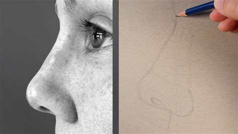 How To Draw A Nose