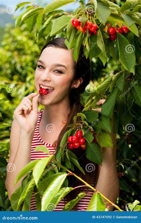 Schöne Junge Frau Isst Kirsche Auf Plantage Stockfoto Bild Von Kirschen Nett 43747592
