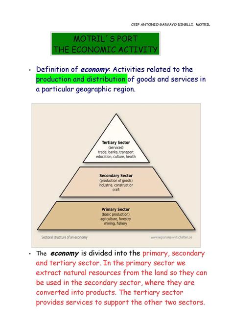 Tertiary Economic Activity Definition - Sectors Of Economy Primary Secondary Tertiary Quaternary ...