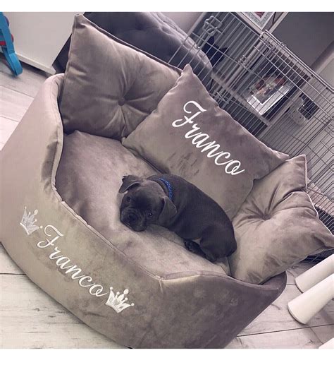 Luxury Silver Flat Velvet Dog Bed Set Available In All Sizes Unique