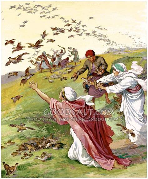 Miracle Of The Quails Bible Pictures Biblical Art Bible Art