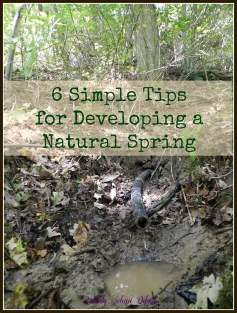 6 Simple Tips For Developing A Natural Spring Survival Mom