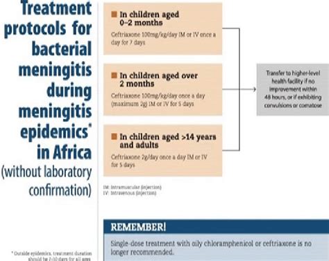 Bacterial Meningitis Protocol Download Scientific Diagram