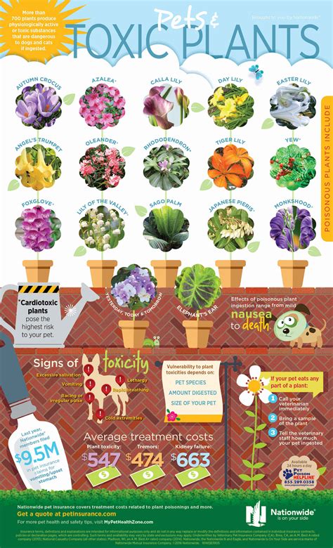 Which Plants Are Poisonous For Dogs