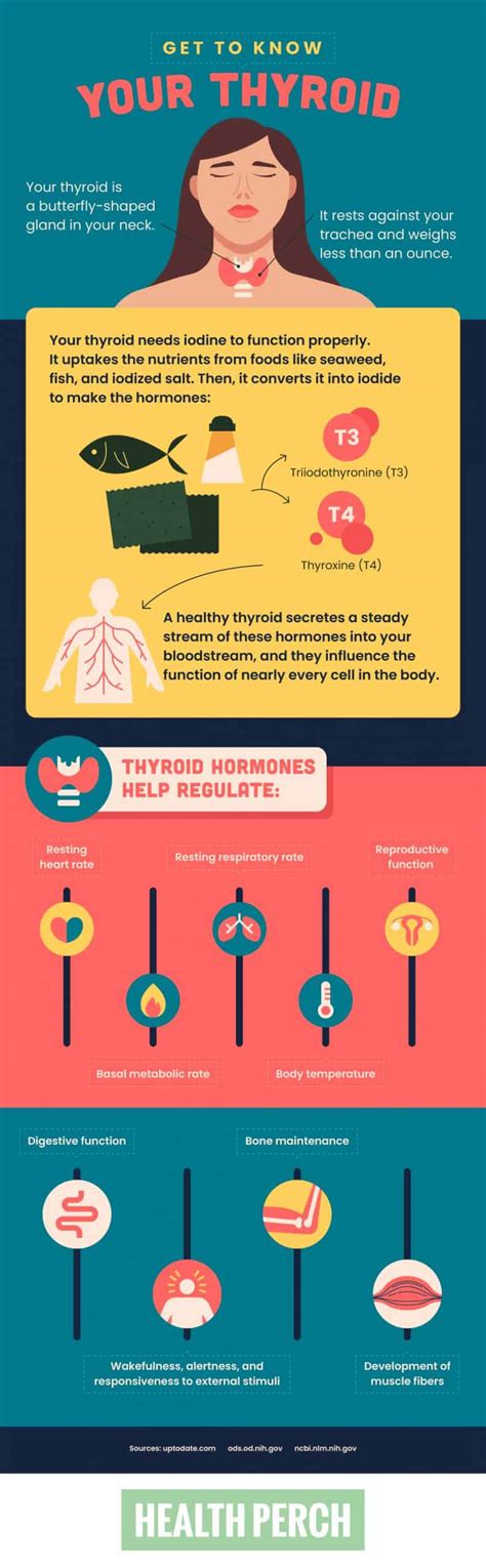 The Top Signs Your Thyroid Is Overactive Or Underactive Health Perch