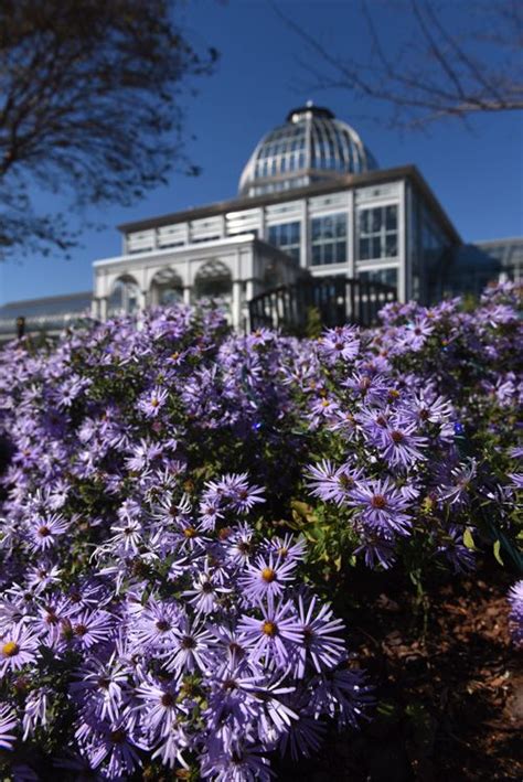 Visit Lewis Ginter Botanical Garden In Richmond Va Everybody