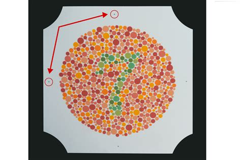 Ishihara 12 Plate Color Vision Test