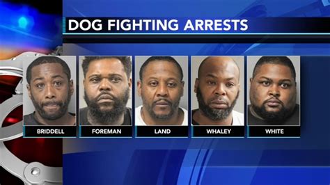 5 Arrested For Alleged Dog Fighting In Seaford Sussex County 6abc