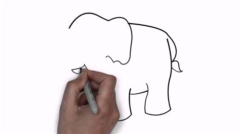 Tutorial membuat sketsa kartun gajah. 34+ Trend Sketsa Gambar Kepala Gajah Terlengkap | Repptu