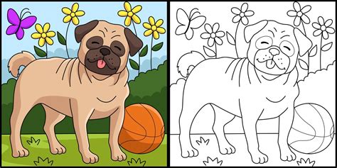 página para colorear de perro pug ilustración en color Vector en Vecteezy