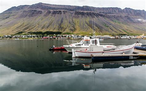 What To Do In Ísafjörður Capital Of The Westfjords