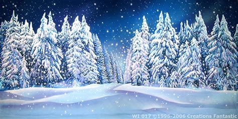Winter Wonderland Backdrop