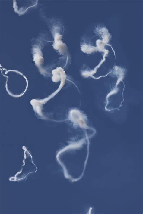 Airplane Smoke Trails Photograph By Garry Gay