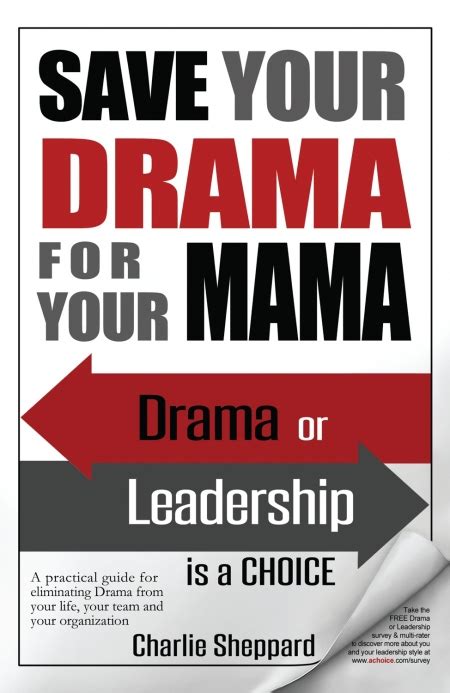 Review Of Save Your Drama For Your Mama 9780988172005 — Foreword Reviews