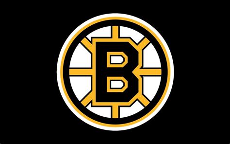 The Boston Bruins Made History Yesterday