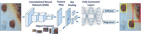 In lecture 9 we discuss some common architectures for convolutional neural networks. The schematic architecture of the Fast R-CNN. | Download ...