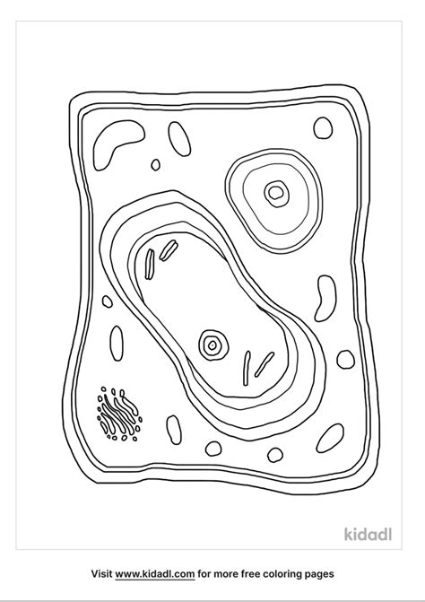 Plant Cell Coloring Page