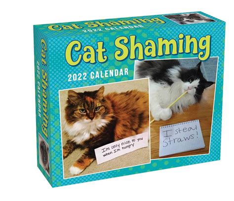 Cats 2025 Mini Day-to-day Calendar