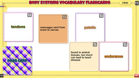 Body Systems Flashcards Coirle