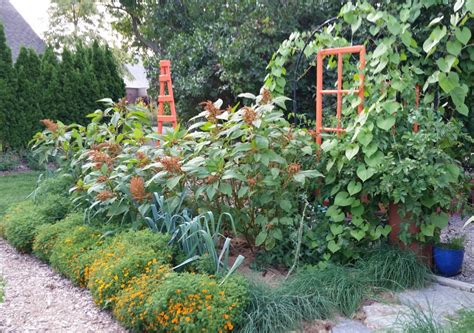 There are four thousand different species of bees in north america, and they are all different sizes, have different tongue lengths, and will feed on different. Great Organic Vegetable Gardening at Tower Hill + Best Bee ...