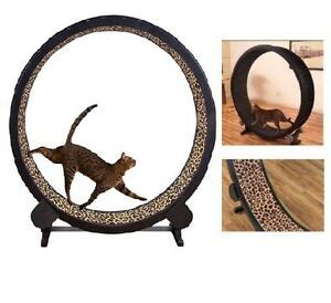 Take apart the lazy susan. Cat Exercise Wheel Toy Play Kitty Running Indoor Treadmill Indoor Treadwheel NEW | eBay